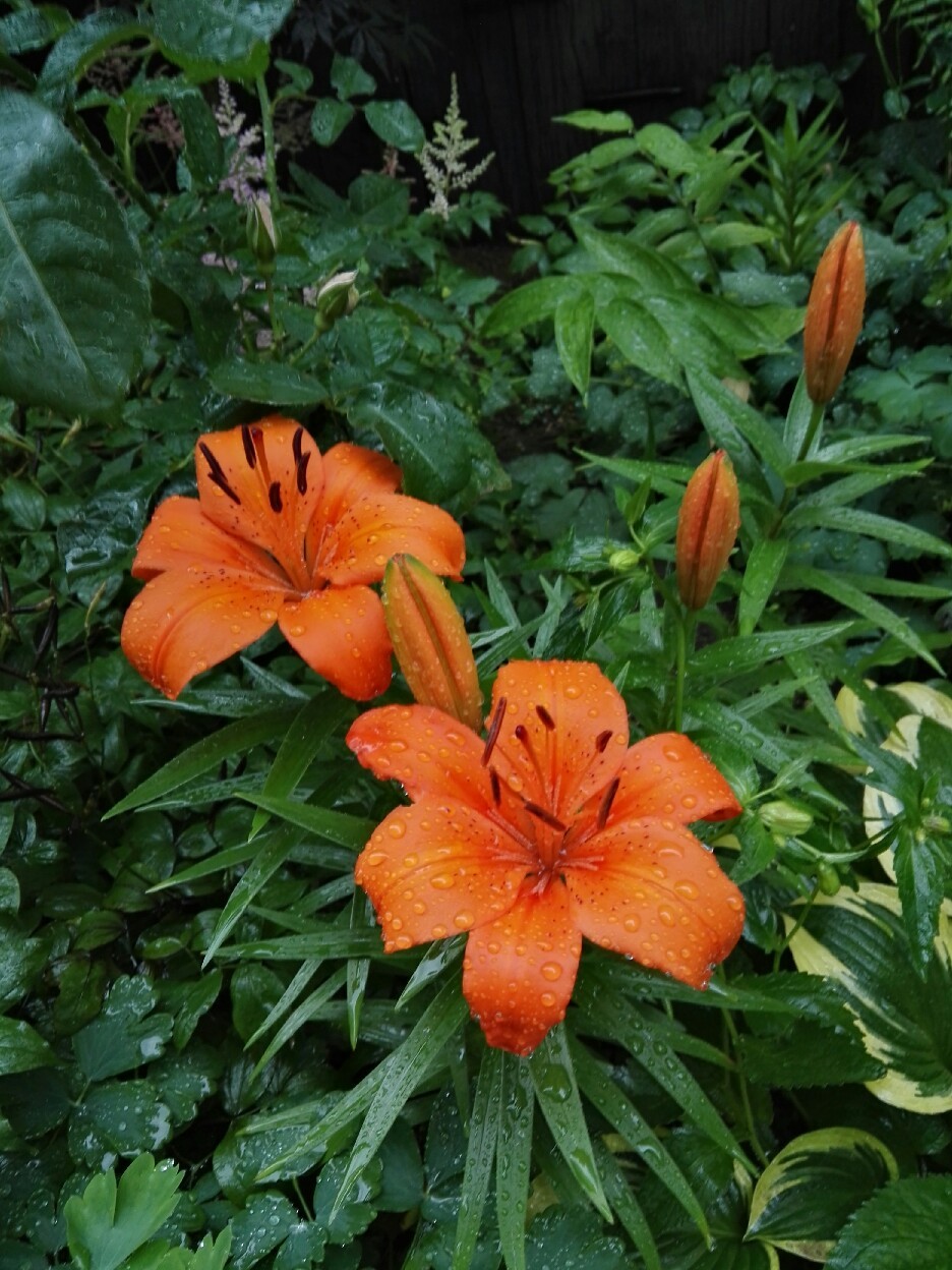 c0234938_06513300.jpg