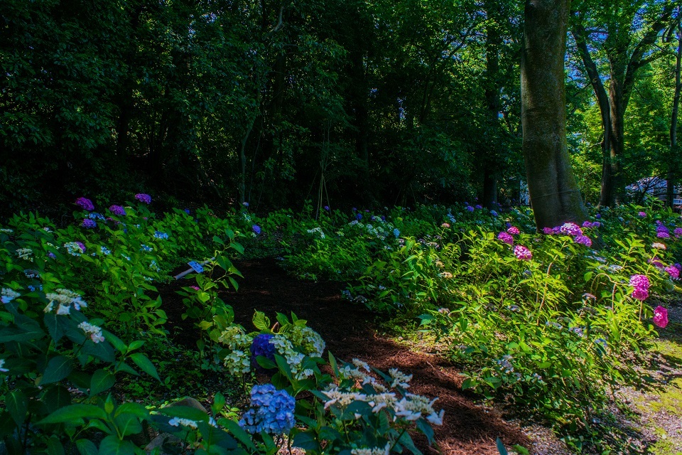 e0363038_18364588.jpg