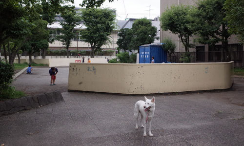 a0117039_22203738.jpg