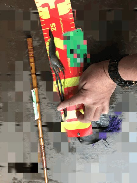 c0234439_05230677.gif