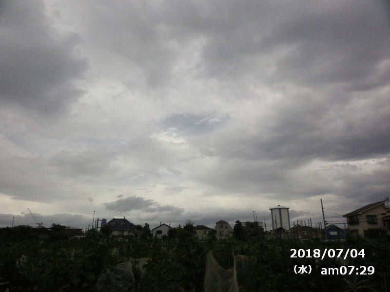 d0111439_13233620.jpg