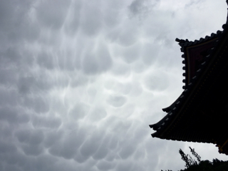 奈良のあじさい寺「矢田寺」へ_b0325640_10273345.jpg