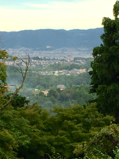 奈良のあじさい寺「矢田寺」へ_b0325640_10293478.jpg