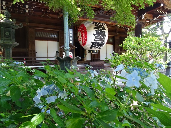 b0299042_14594775.jpg