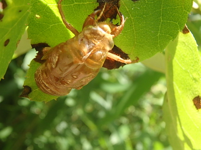f0334143_7303749.jpg