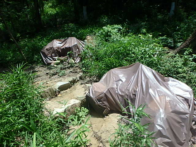 f0334143_7331443.jpg