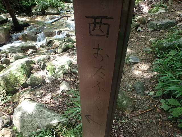 f0334143_737179.jpg