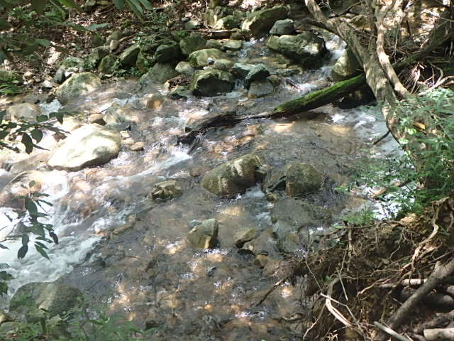 f0334143_737351.jpg