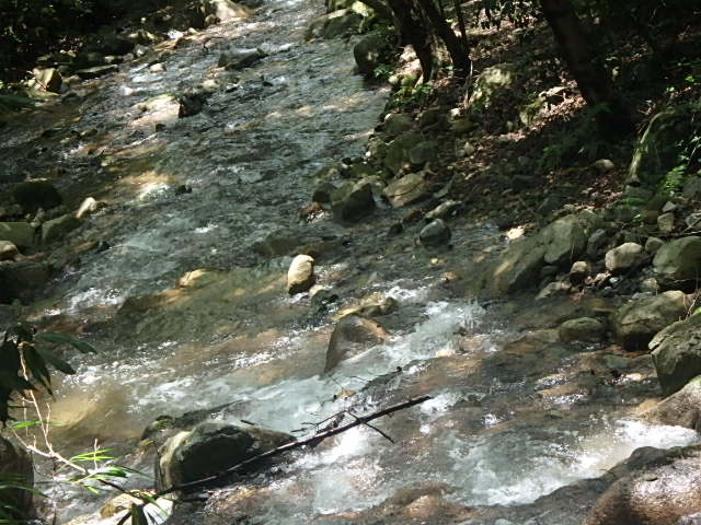 f0334143_7374581.jpg