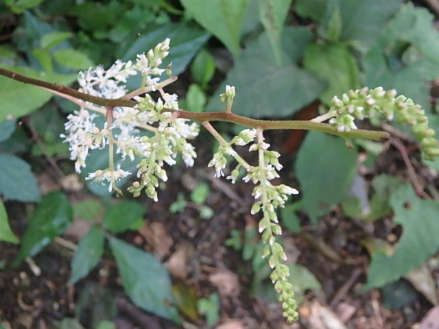 f0334143_7433265.jpg