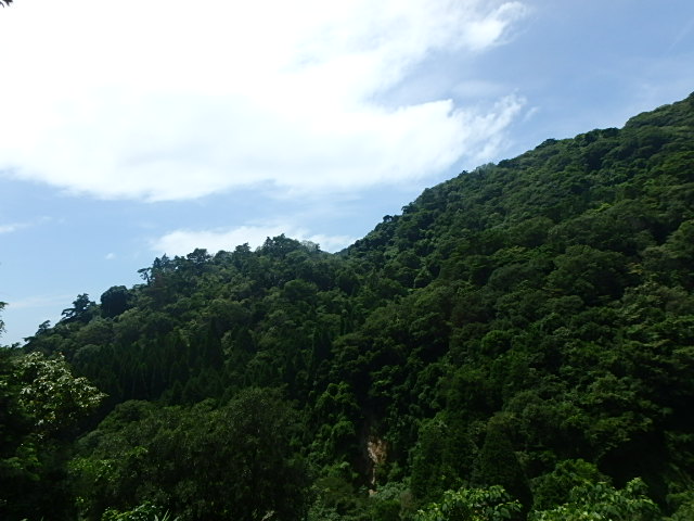 f0334143_743758.jpg