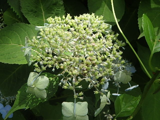 f0334143_7442179.jpg
