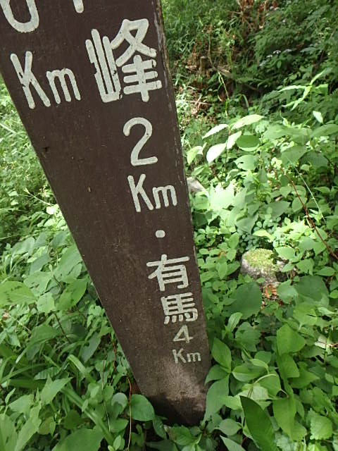 f0334143_7454750.jpg