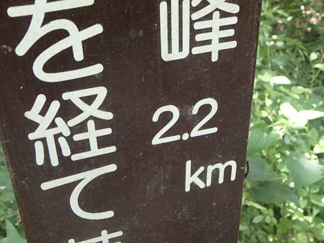 f0334143_7461796.jpg