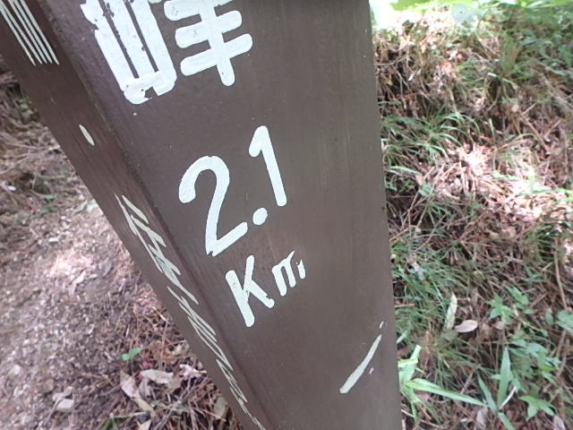 f0334143_746364.jpg