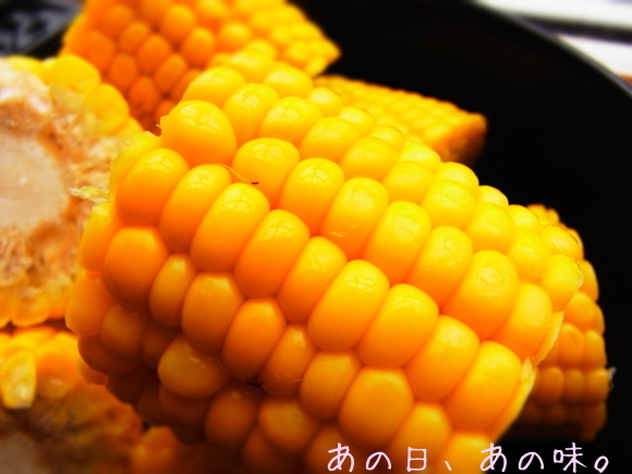 a0305046_10011014.jpg