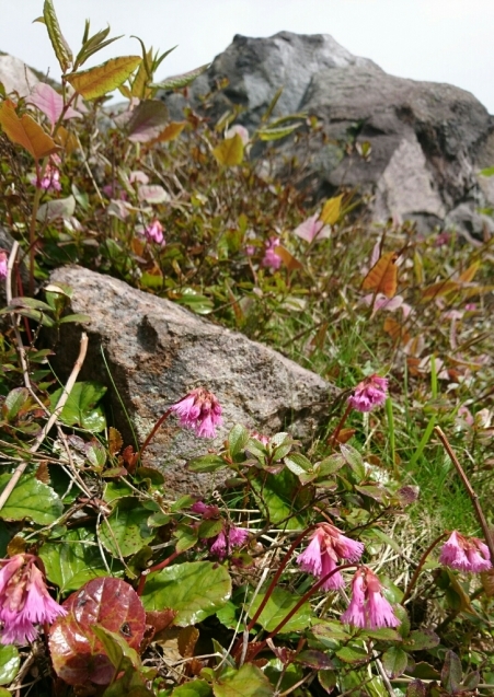 b0148050_18335297.jpg