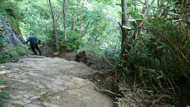 b0148050_19380318.jpg