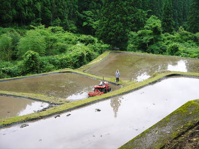 米作りの挑戦(2023)　田植え　今年は6月5日に田植えを終えました！昨年より5日早い田植えです！(後編)_a0254656_16484470.jpg
