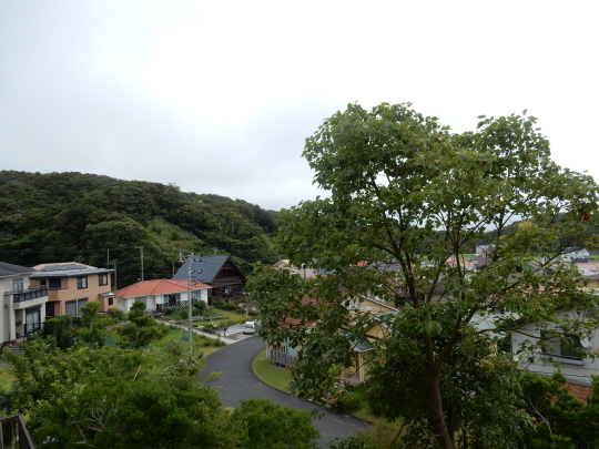 ’18,7,4(水)6月の花々!_f0060461_08204048.jpg
