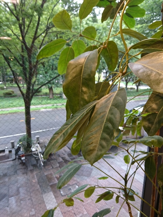 雨だから、曇りだからこそお気をつけを!!_a0272765_15405240.jpg