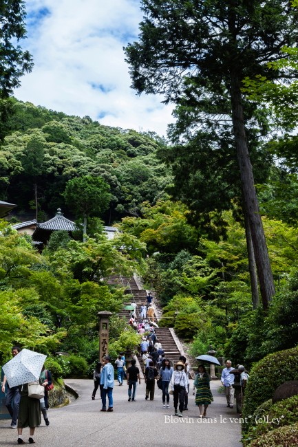 紫陽花寺へ..._f0251765_1611162.jpg