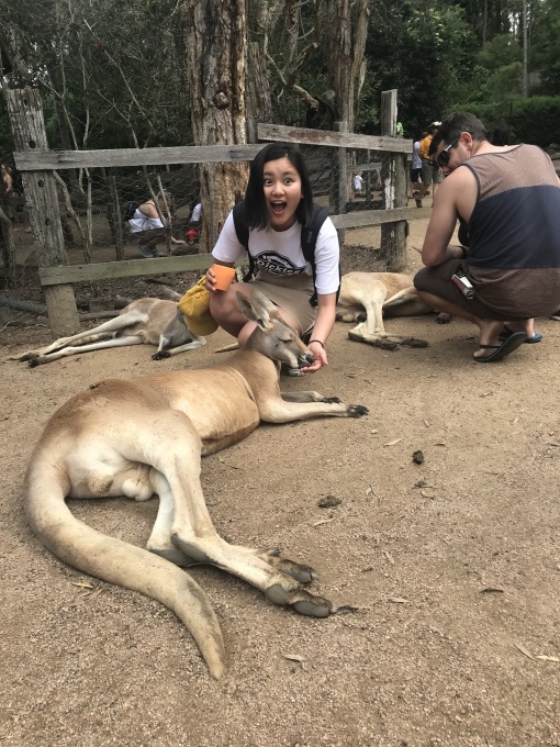 b0193476_22042650.jpeg