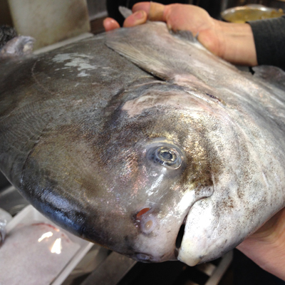 マナガツオは美味しいお魚です!_f0054977_20061350.jpg