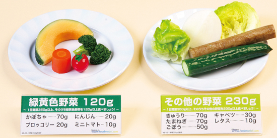 栄養の日・栄養週間」におすすめフードモデル : いわさき