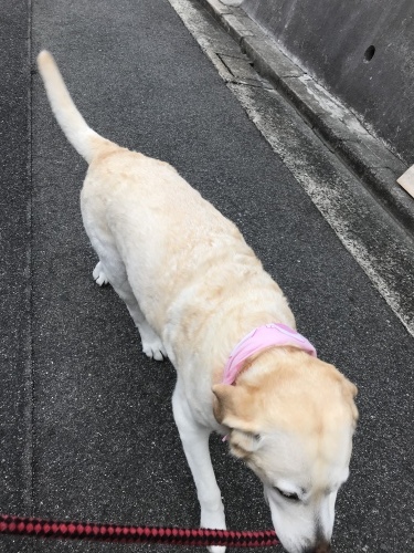 f0315081_22094111.jpeg