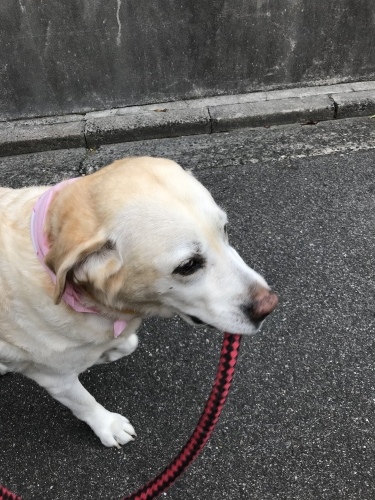 f0315081_22101796.jpeg