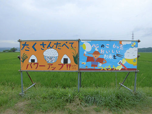 7月4日の田んぼ(緑ヶ丘小・北郷小)_d0247484_15423924.jpg