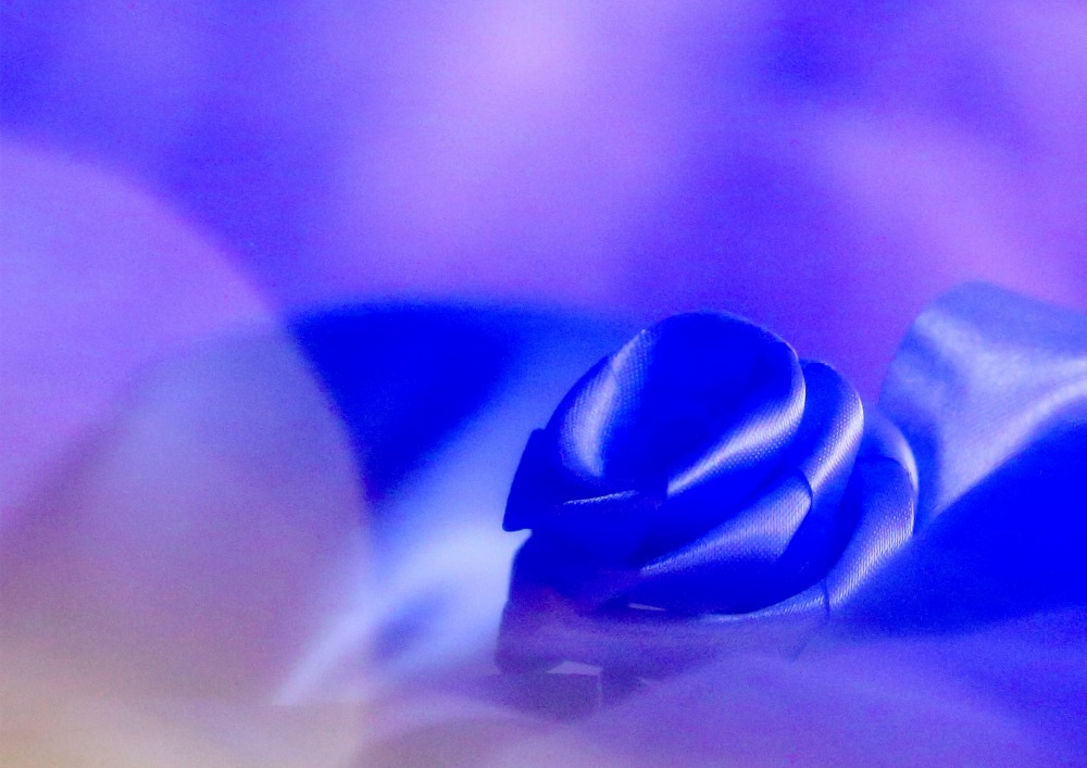 f0018492_20184920.jpg