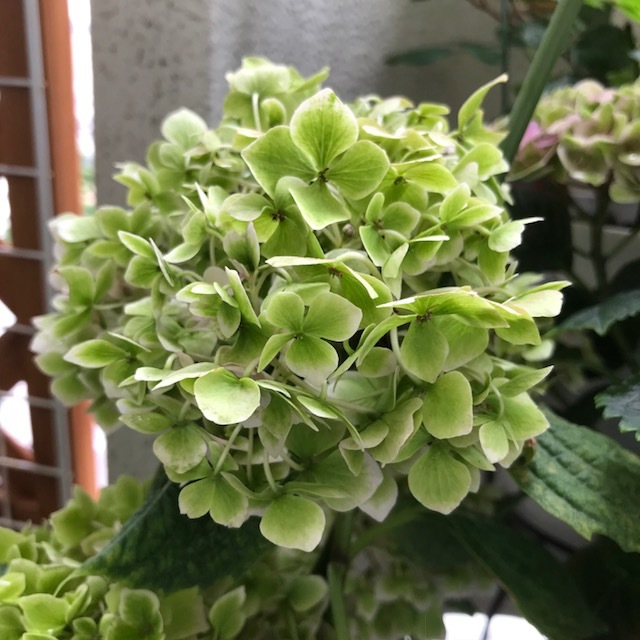 f0204295_15101567.jpg