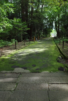 f0103797_11180004.jpg
