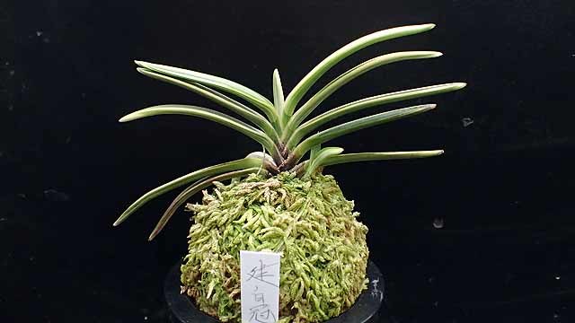 e0363198_15595645.jpg