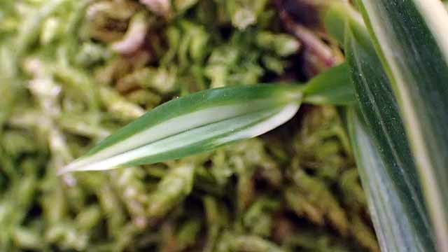 e0363198_16061189.jpg