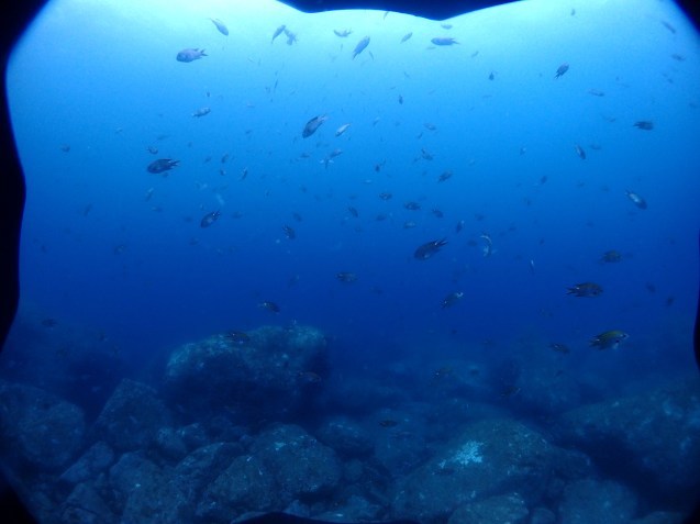 e0115199_15402493.jpg