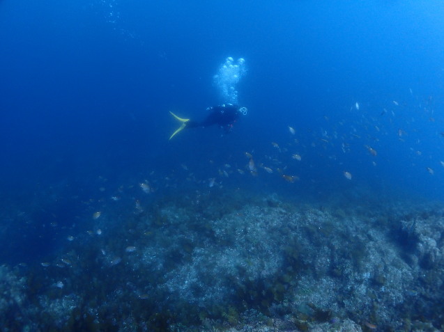e0115199_15521164.jpg