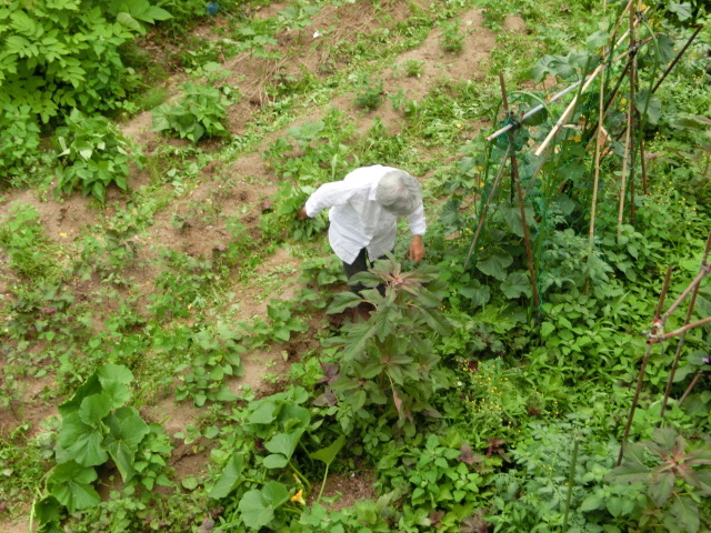 a0203003_10444537.jpg