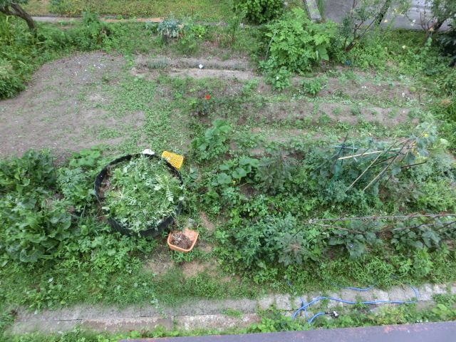 a0203003_10452228.jpg