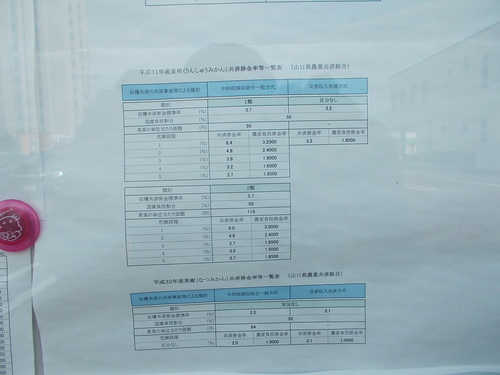 大気不安定 各地で激しい雨 早めの安全確保を_c0192503_6141044.jpg