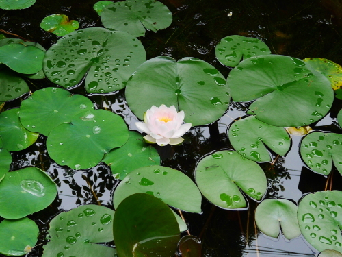 c0301808_09091851.jpg