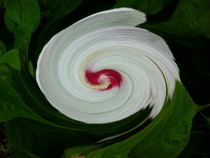 b0352112_1917325.gif