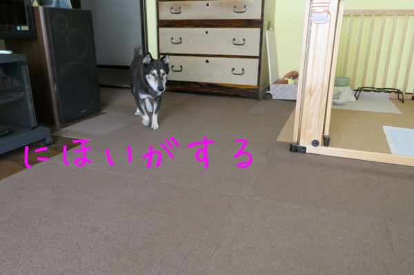 f0369014_14105418.jpg