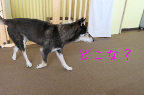 f0369014_14113171.jpg