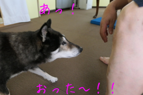 f0369014_14202005.jpg