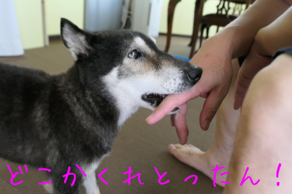 f0369014_14210678.jpg