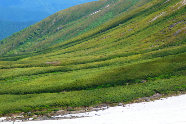 ＊＊＊ 乗鞍岳剣ヶ峰下山　富士見岳登頂(2,817M) 編 ＊＊＊_d0170615_14450110.jpg