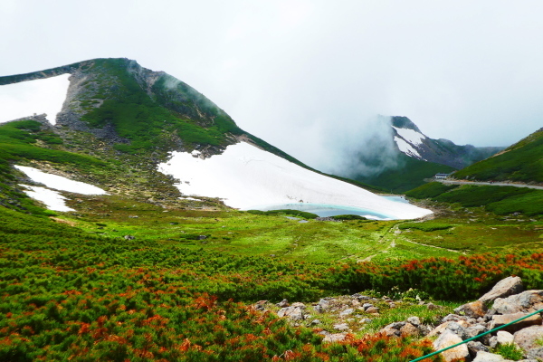 ＊＊＊ 乗鞍岳剣ヶ峰下山　富士見岳登頂(2,817M) 編 ＊＊＊_d0170615_14451041.jpg